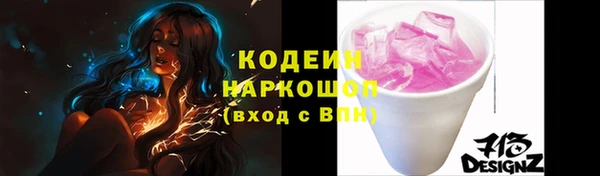 СК Кодинск