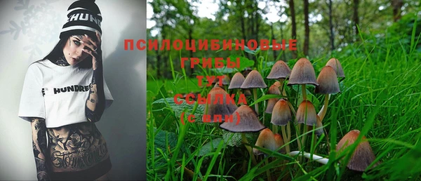 амф Козловка