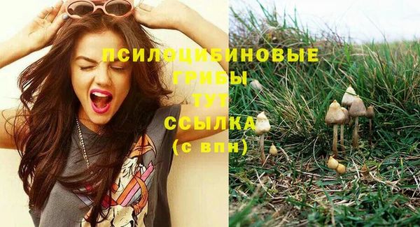 амф Козловка