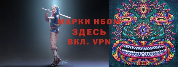 амф Козловка
